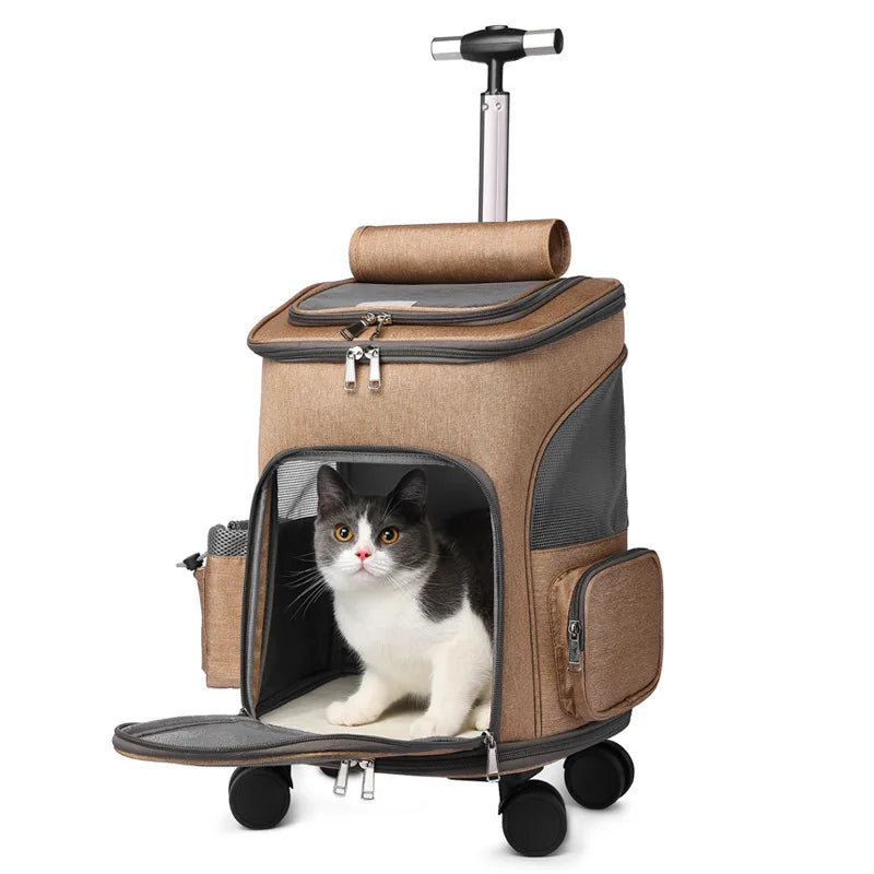 Large Capacity Portable Pet Backpack Adjustable Lightweight Breathable Square Zipper for Outdoor Carrying Pets Made Plastic